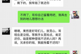 嵩县融资清欠服务